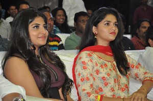 Sahasam Swasaga Sagipo Movie Audio Release